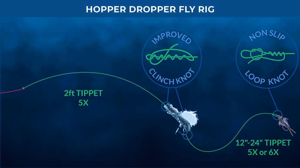 Basic Hopper Dropper Rig Set Up