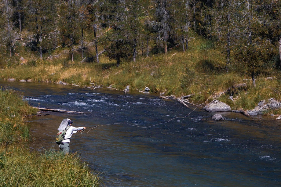 Cast Like a Pro: Techniques for Precision Fly Casting – Jackson Hole Fly  Company