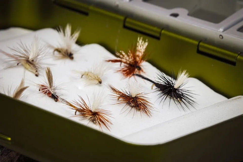 How to Organize Your Fly Box: A Guide to Streamlining Your Fishing