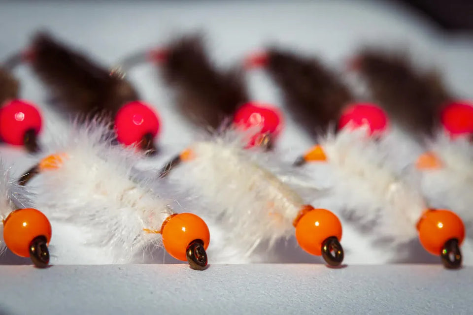 How to Organize Your Fly Box: A Guide to Streamlining Your Fishing Suc –  Jackson Hole Fly Company
