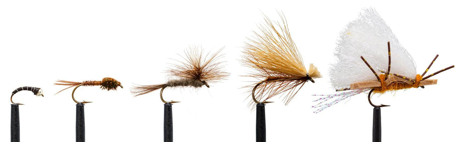 JHFLYCO Late Summer Fly Selection