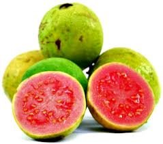 Guava