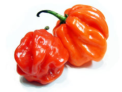 Scotch Bonnet Peppers