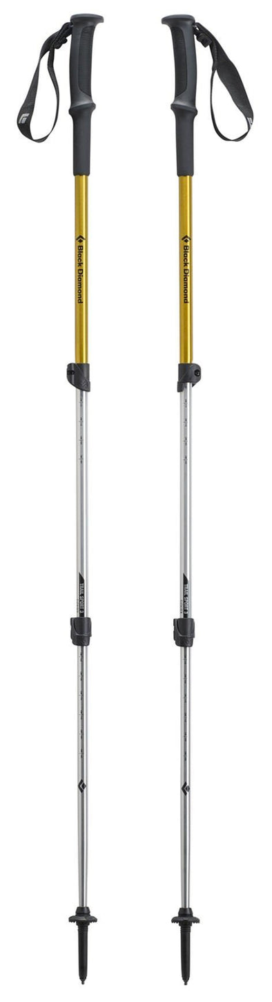 trail back trekking pole