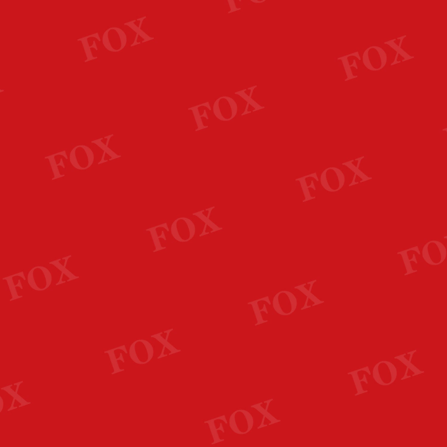 Fox Solid Venetian Red Vinylfabric Backdrop Designed By Jt Photograph Foxbackdrop 9159