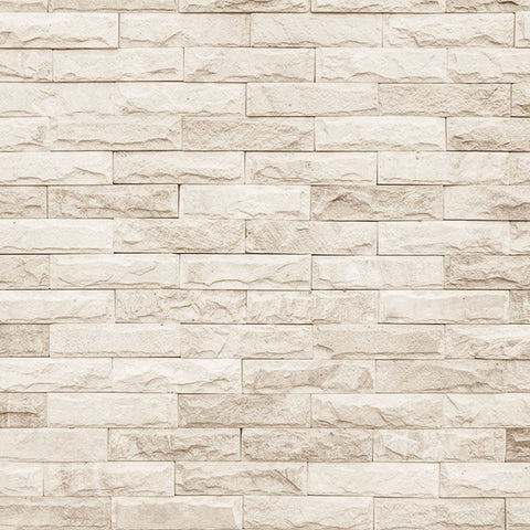 Cheap price for Vinyl Printed Brick Photography Backdrops – Page 2 ...