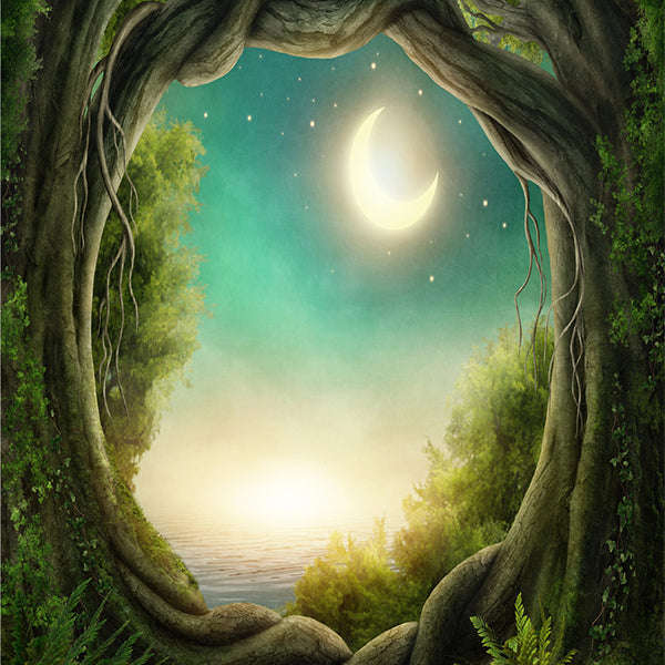 Cheap for Fox Jungle Forest River Moon Vinyl/Fabric Photos Backdrop ...