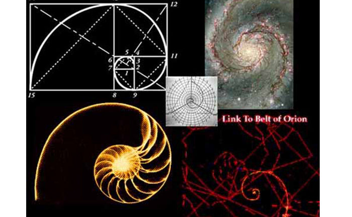 The Fibonacci Sequence- Univers