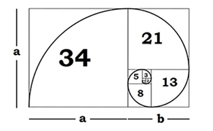 Numbers Universe - The Fibonacci Sequence