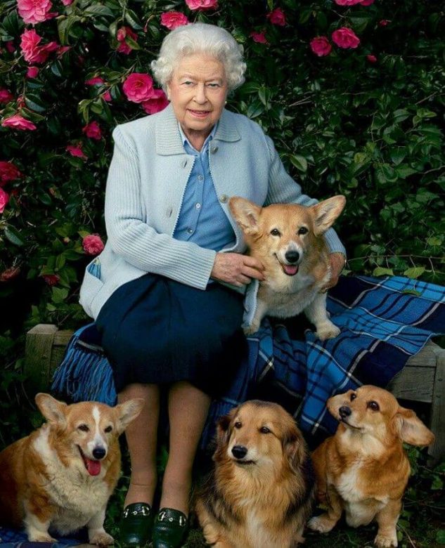 Queen Elizabeth II's Corgis