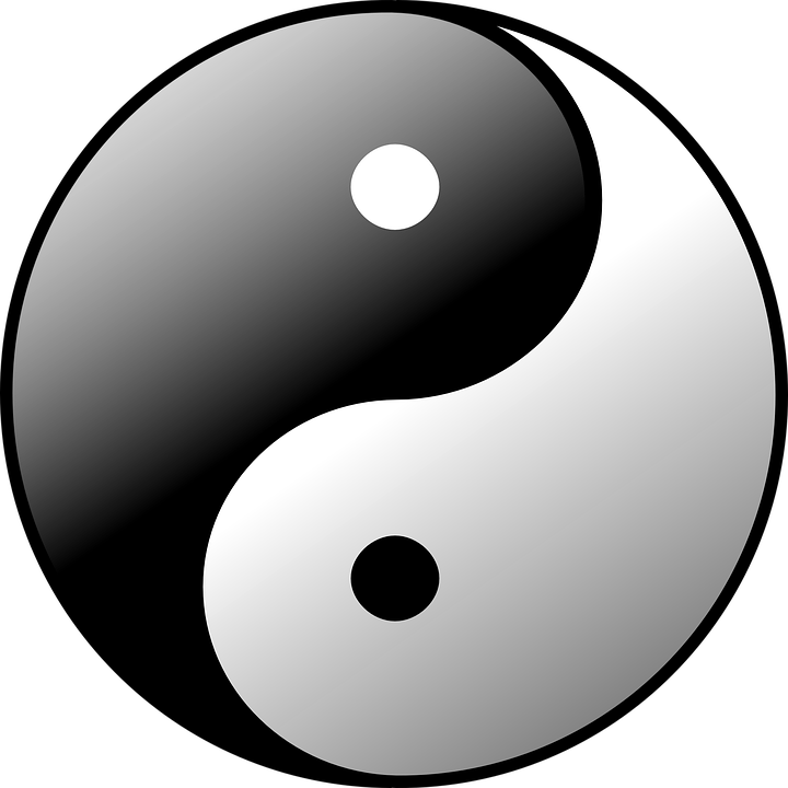 yin yang ☯️ 
