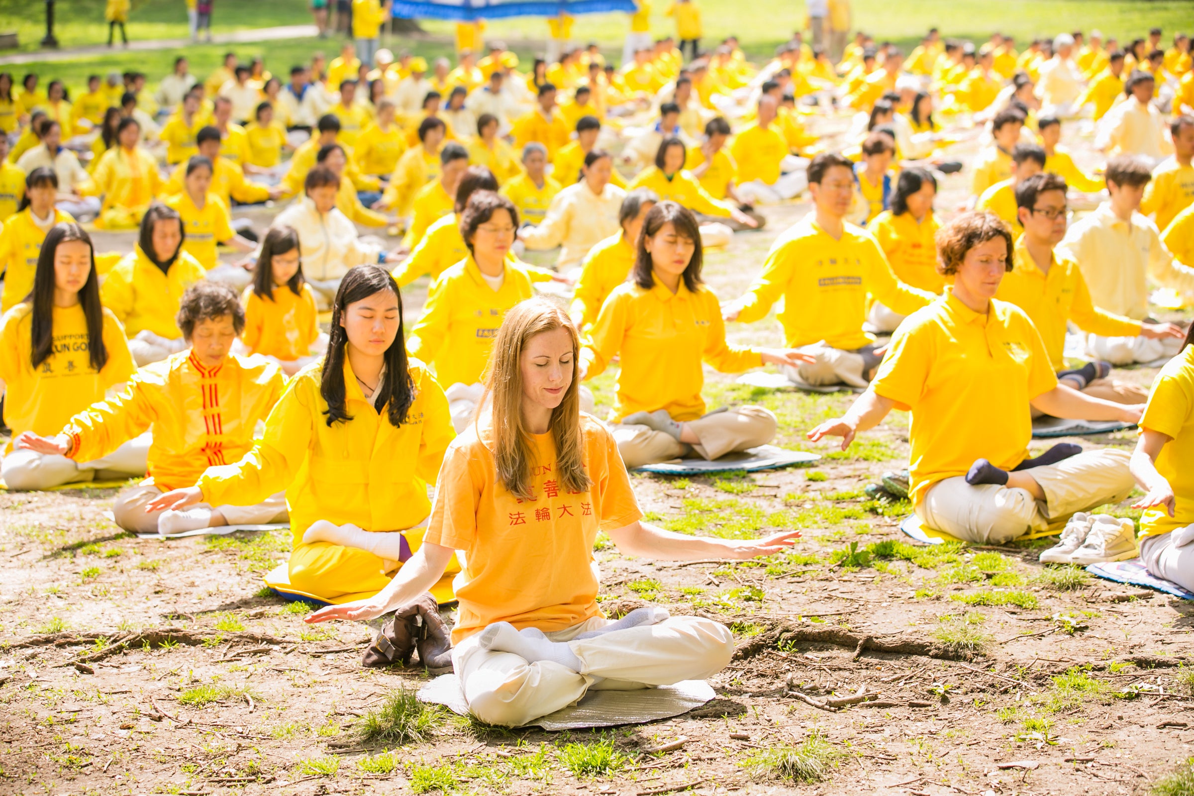 Meditation learn qigong how to meditate 