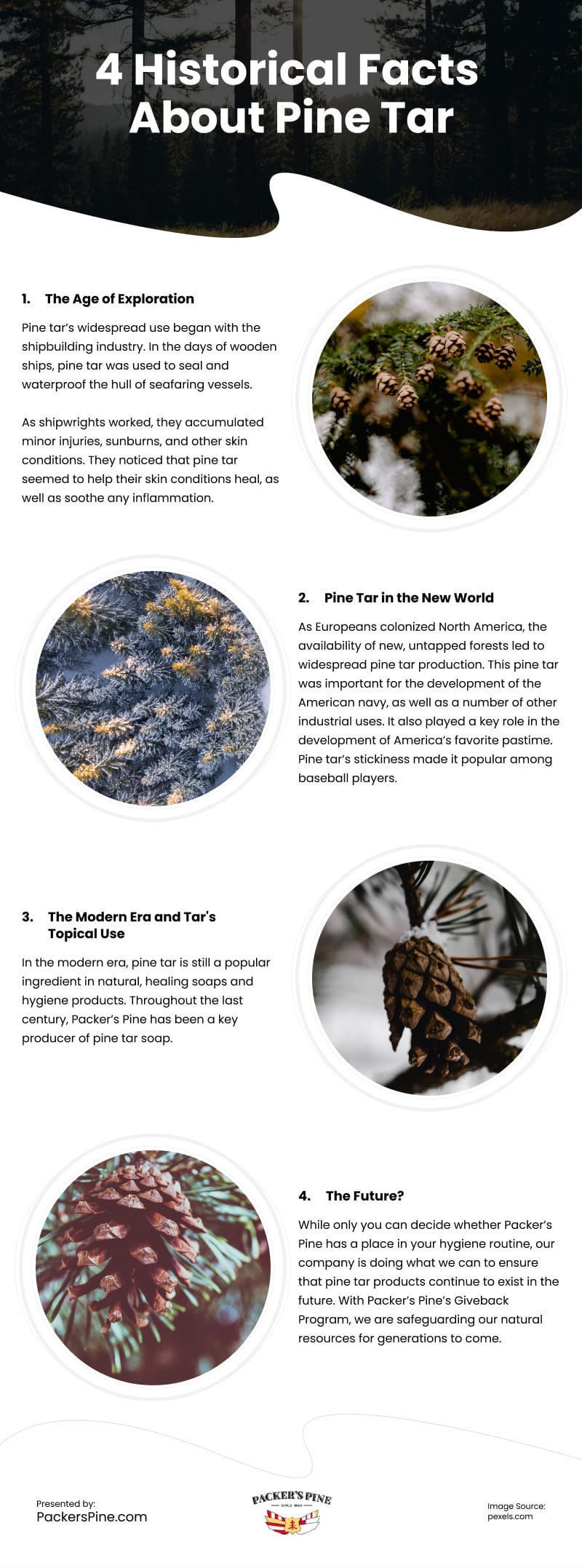 4 Historical Facts About Pine Tar Infographic