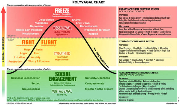 Polyvygal Chart