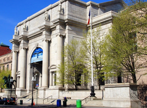 American Museum History of Natural History