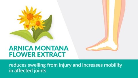 Arnica Flower Extract in Mountain Ice