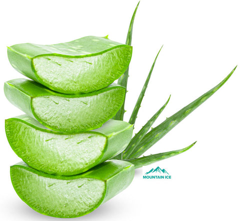 Aloe Vera known for its cooling effects on burns and healing properties on abrasions because of its ability to fight off bacteria and boost the immune system.  Aloe Vera gel is naturally extracted from the leaves of a plant and can directly be applied to the skin for immediate relief