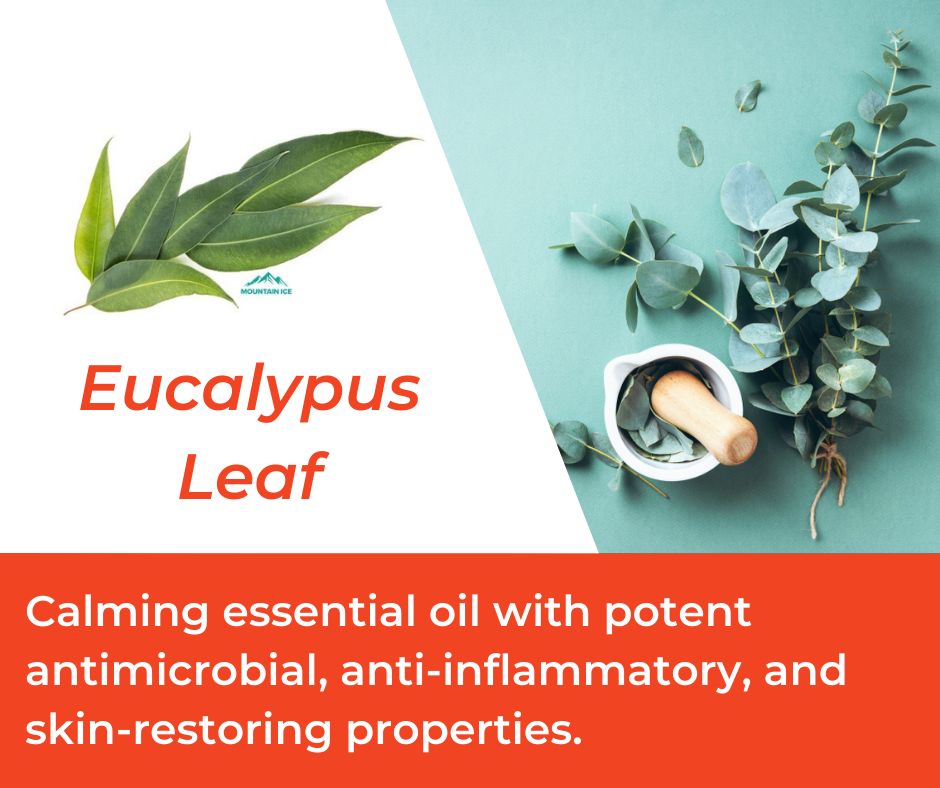 Eucalyptus Leaf in Mountain Ice Sports Recovery Gel