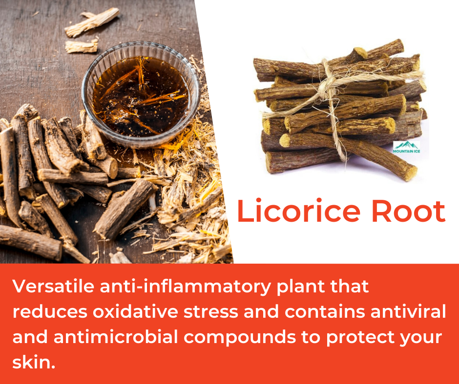 Licorice Root in Mountain Ice Sports Recovery Muscle Therapy Gel