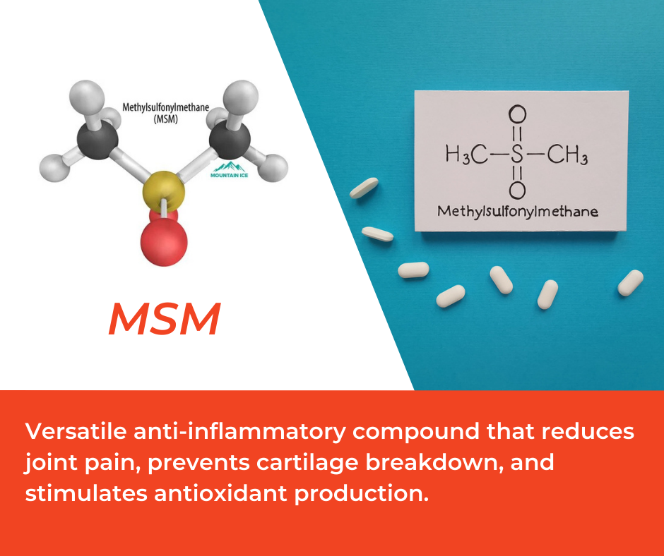 MSM in Mountain Ice Muscle Therapy Gel