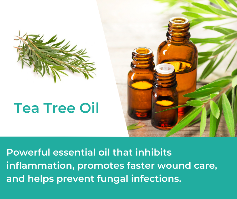 Tea Tree Oil in Mountain Ice Pain Relief Gel
