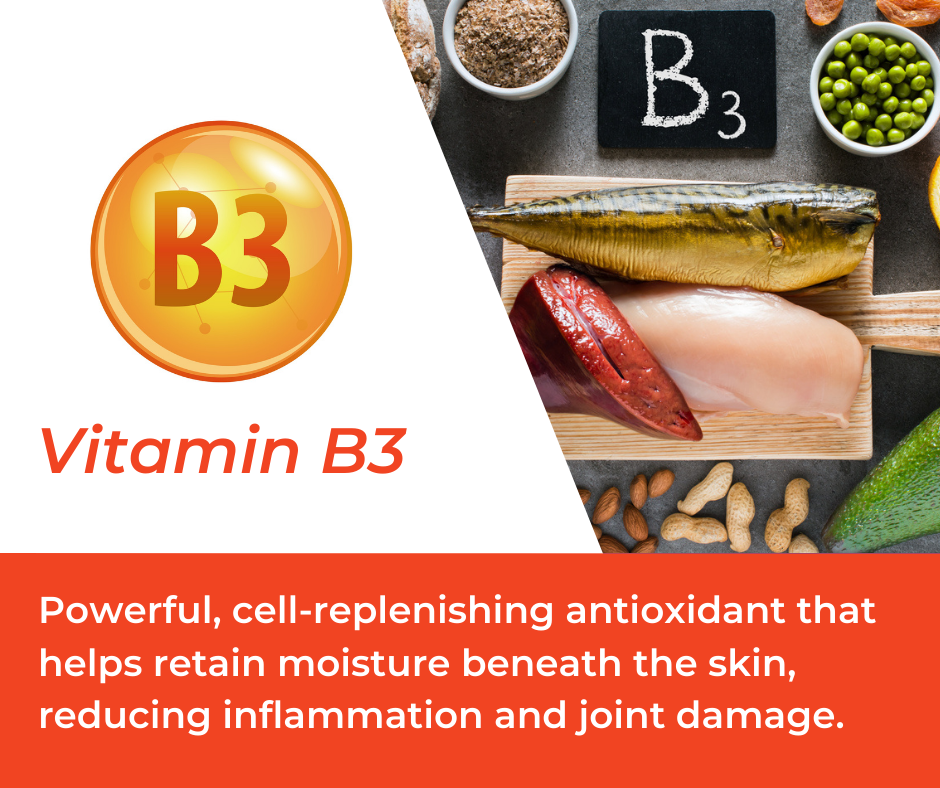 Vitamin B3 Benefits in Mountain Ice Muscle Therapy Gel