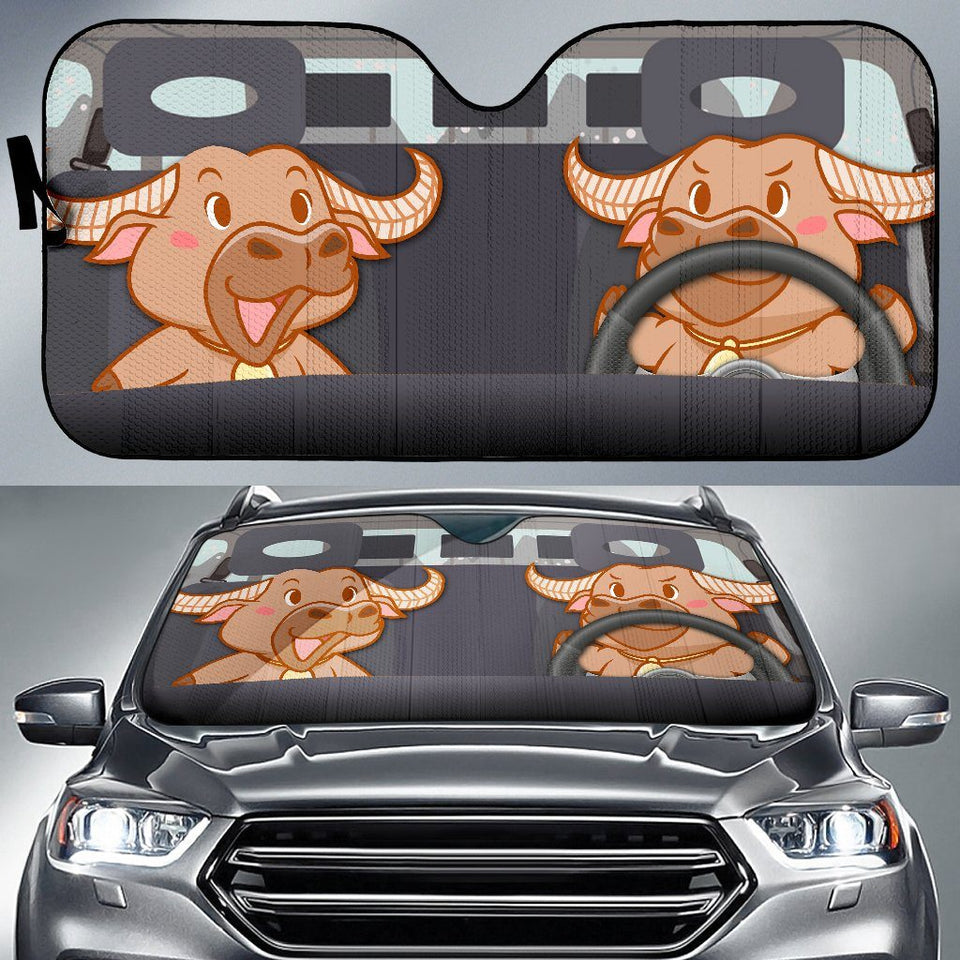 funny car sun shade