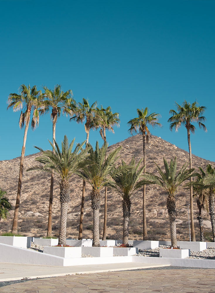 Hotel Marquis in Los Cabos, Mexico