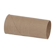 Paper Towel for Ring Toss
