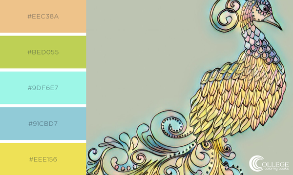 free printable coloring page, peacock printable coloring page, peacock coloring page, colored in with shades of yellow and blue, free coloring page to print