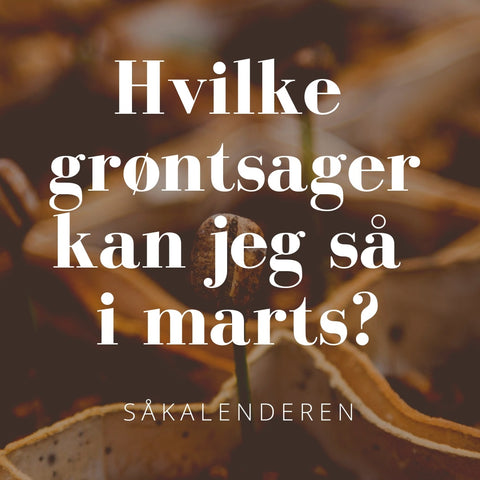 Hvilke grøntsager kan jeg så i marts måned?