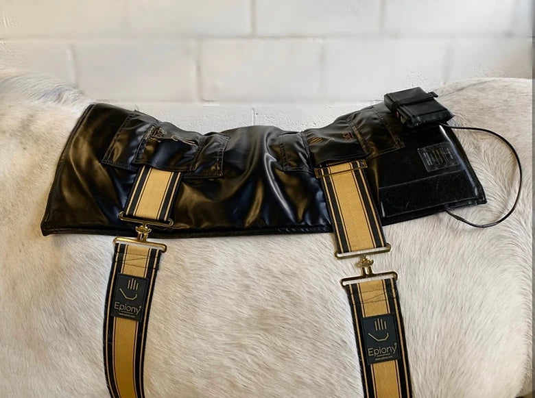 Epiony Heat Pad - Plus – Equissentials Dressage