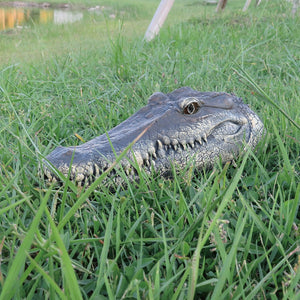 remote control croc head