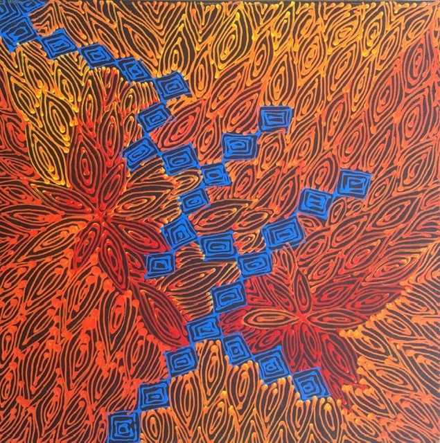 Paintings - Aboriginal Contemporary