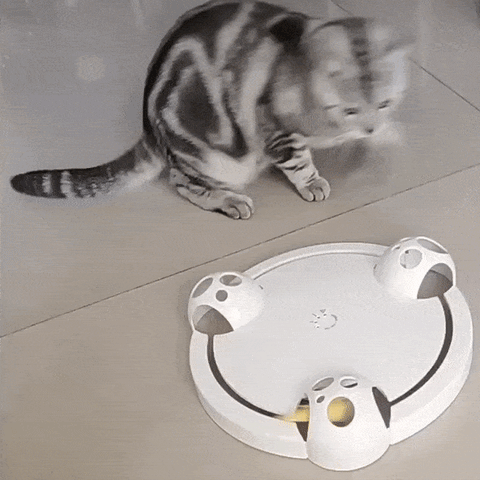 Interactive Mouse Pounce Cat Toy