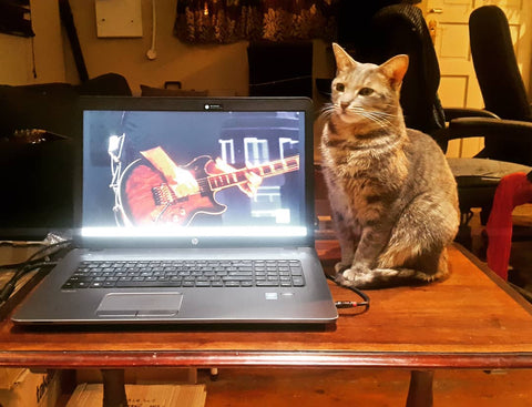 Miffy enjoys Kreator's set during Wacken Worldwide Streaming Show in 2020.