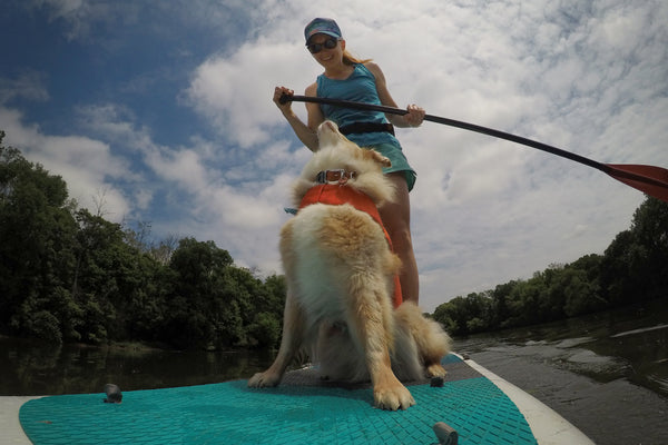 Dog SUP Paddleboard Hala