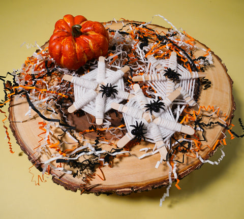 Easy and Cheap Kids Halloween Spider Crafts – Par-T-Pets