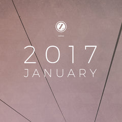 Zoe Organics Playlist for January 2017