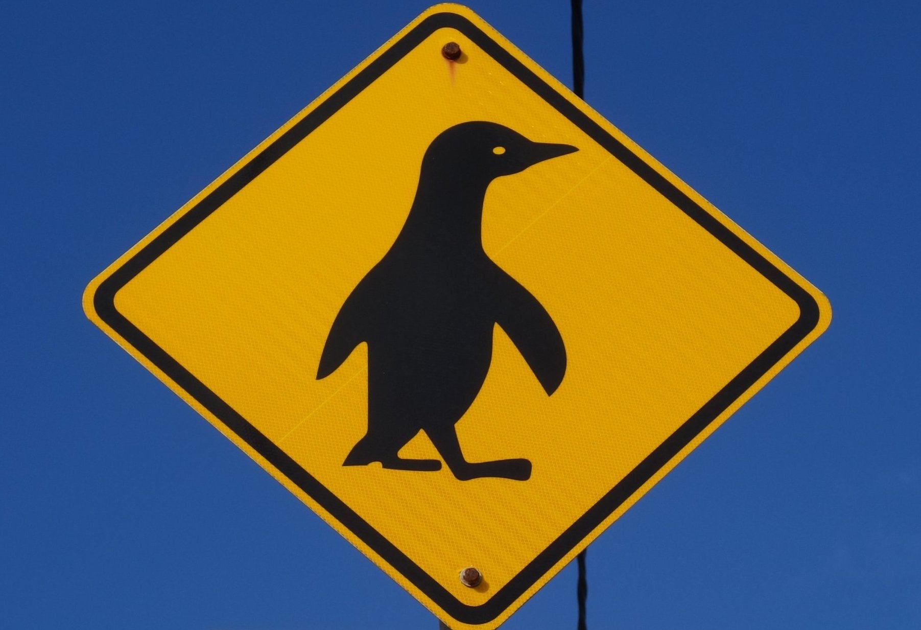 Street sign depicting a cartoon image of a penguin for penguin crossing