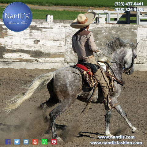 Shop Now Charro Halters and Headstalls