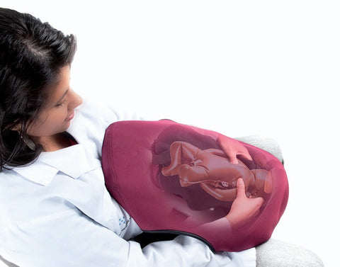 https://cdn.shopify.com/s/files/1/0144/4583/8371/files/birth-obstetric-simulator-4_480x480.jpg?v=1576749805