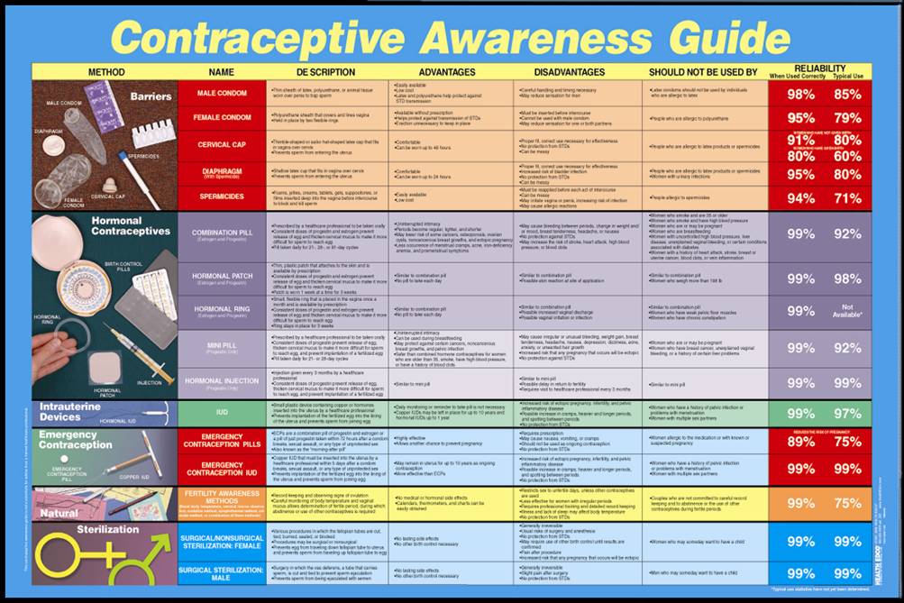 Contraceptive Awareness Chart Safe Sex Guide Poster Buyamag INC