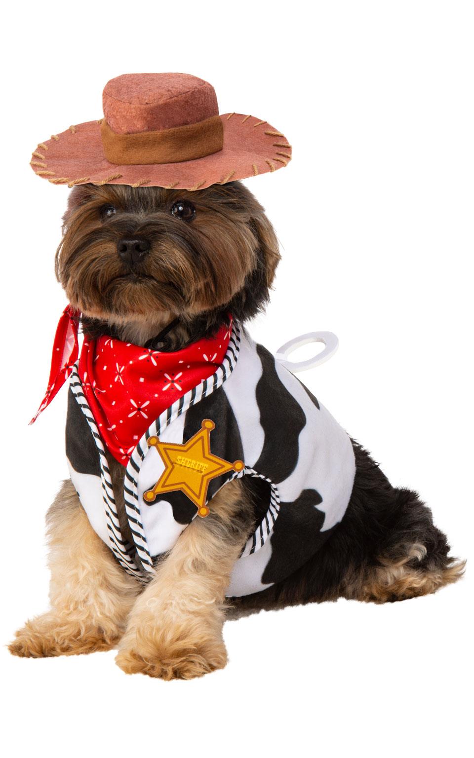 dog fancy dress outfit