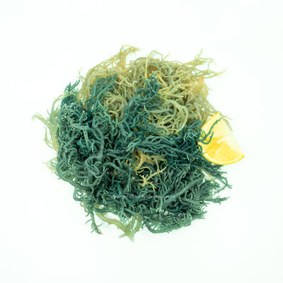 Irish Sea Moss (Green) - St. Lucia | NY Spice Shop | Reviews on Judge.me