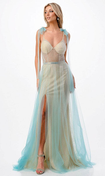 Sophisticated V-neck Mermaid Natural Waistline Slit Back Zipper Beaded Illusion Sheer Prom Dress with a Brush/Sweep Train