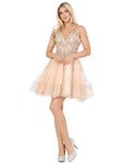 A-line V-neck Sleeveless Sweetheart Fit-and-Flare Cocktail Short Sheer Beaded V Back Fitted Applique Natural Waistline Party Dress