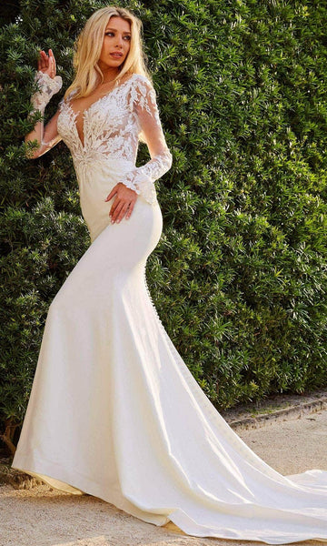 Sophisticated V-neck Plunging Neck Sheer Mesh Open-Back Applique Embroidered Illusion Natural Waistline Long Sleeves Mermaid Wedding Dress with a Chapel Train