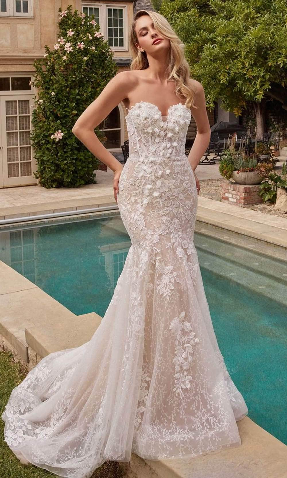 Ladivine CDS431W - Floral Applique Embellished Mermaid Bridal Gown
