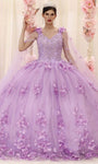 V-neck Natural Waistline Beaded Sheer Applique Mesh Glittering Floral Print Floor Length Quinceanera Dress